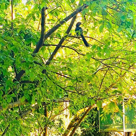 Gamagedara Resort Dambulla Exterior photo
